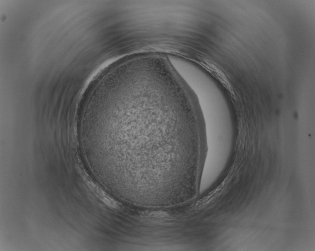 X0000087380784200705181241