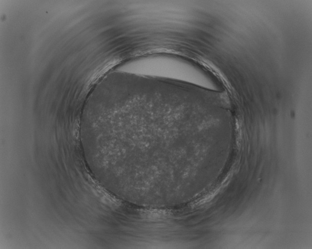 X0000087380785200705181241