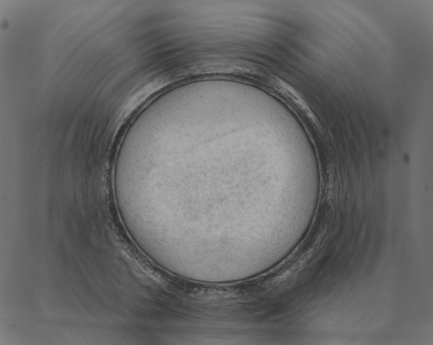 X0000087380786200705181241