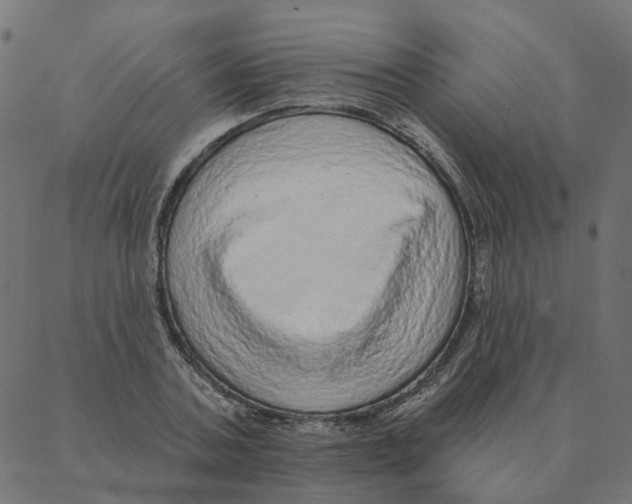 X0000087380787200705181241