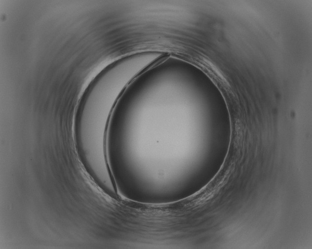 X0000087380788200705181241