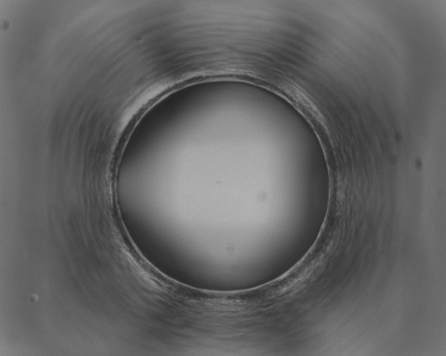 X0000087380789200705181241