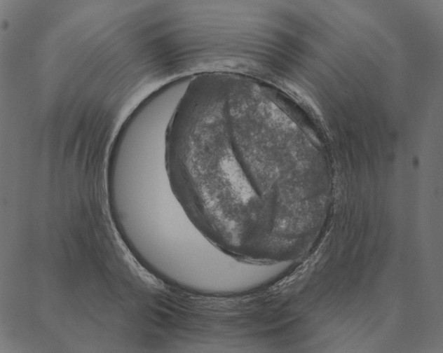 X0000087380792200705181241