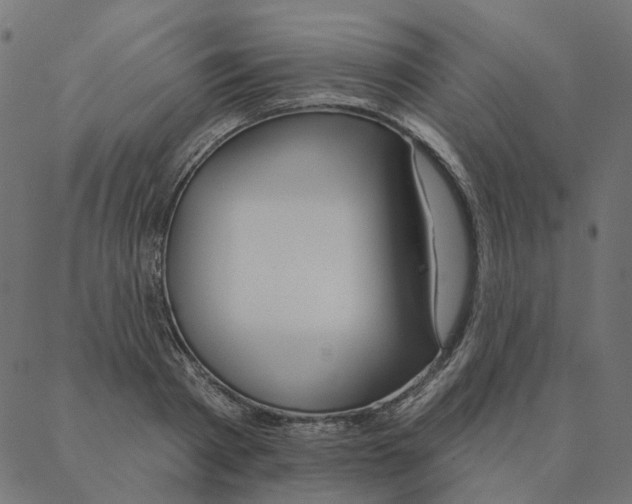 X0000087380793200705181241