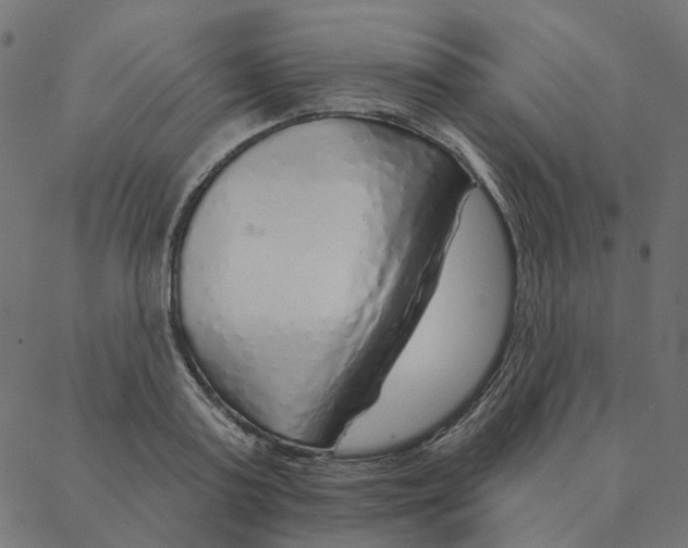 X0000087380795200705181241