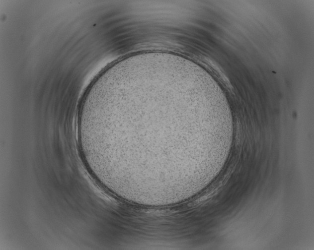 X0000087380796200705181241