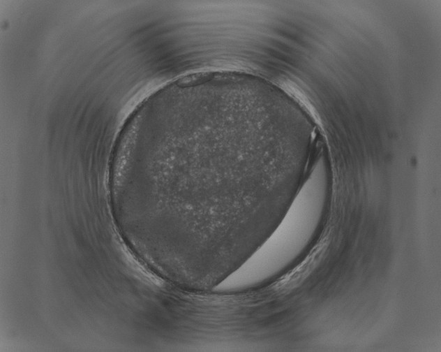 X0000087380797200705181241