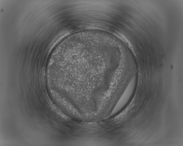 X0000087380798200705181241