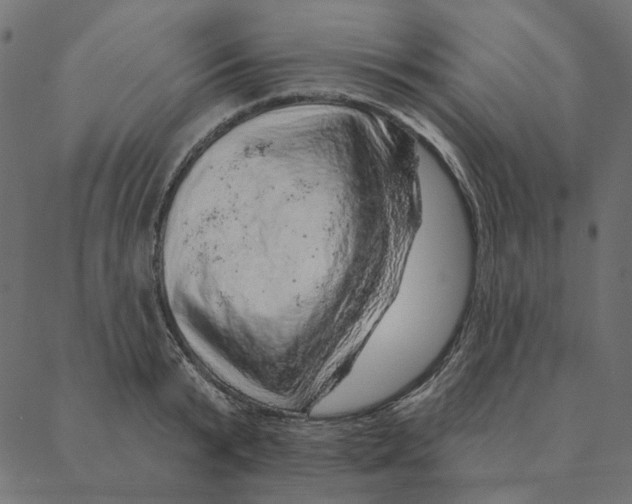 X0000087380799200705181241