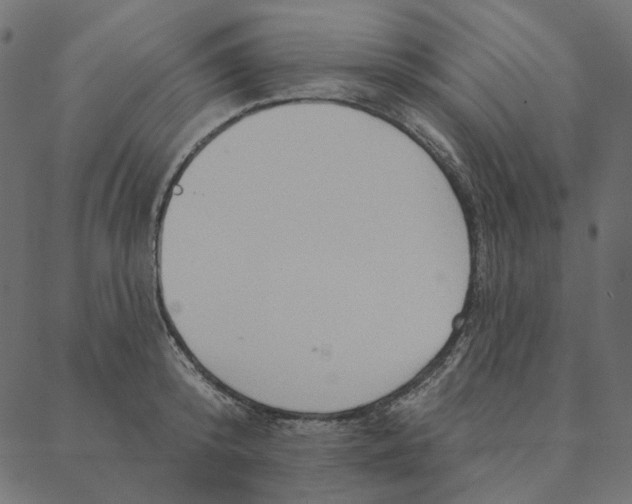 X0000087380800200705181241