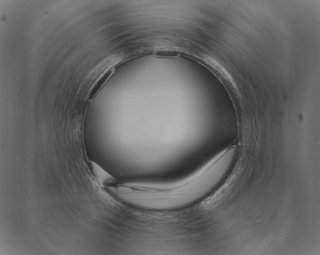 X0000087380801200705181241