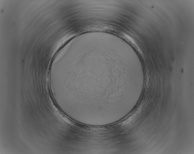 X0000087380802200705181241