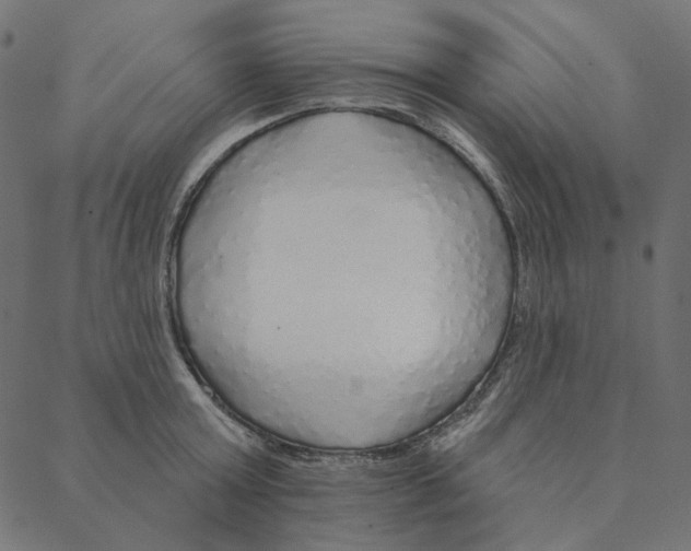 X0000087380803200705181241