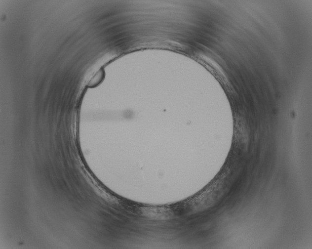 X0000087380804200705181241