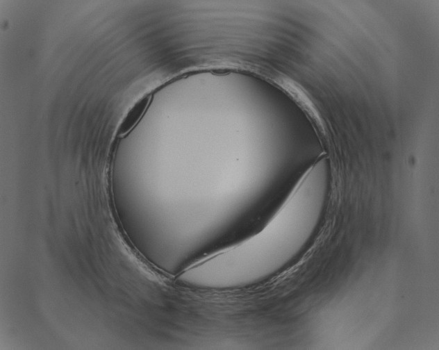 X0000087380805200705181241