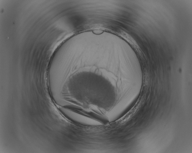 X0000087380806200705181241