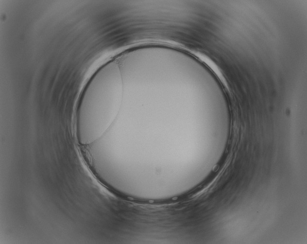 X0000087380807200705181241