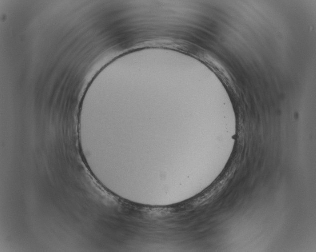 X0000087380808200705181241