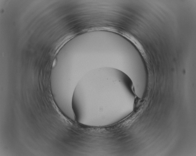 X0000087380809200705181241