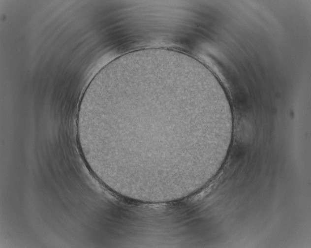 X0000087380810200705181241