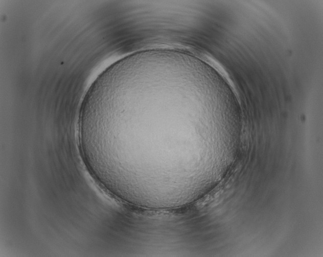 X0000087380811200705181241