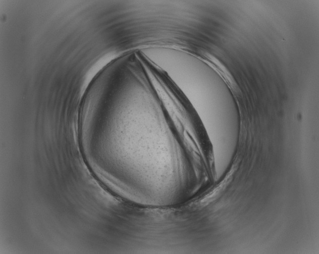 X0000087380812200705181241