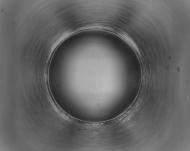 X0000087380813200705181240