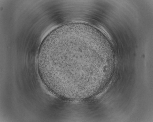 X0000087380814200705181240