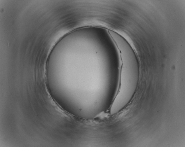 X0000087380815200705181240