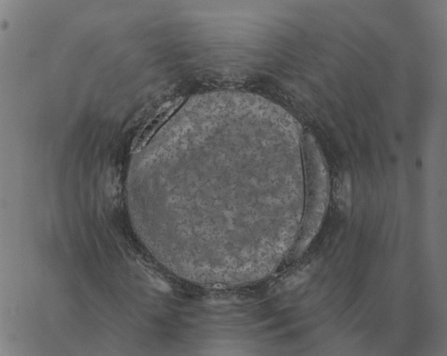 X0000087380818200705181240