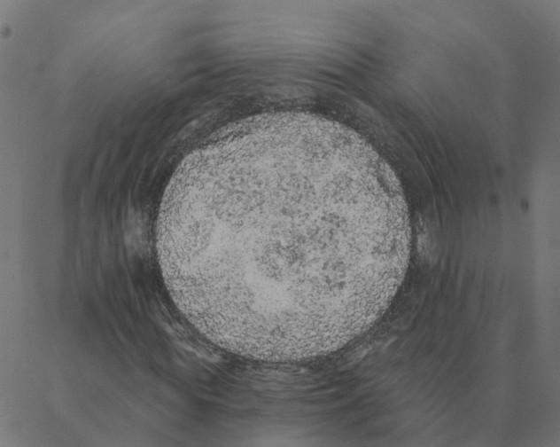 X0000087380819200705181240