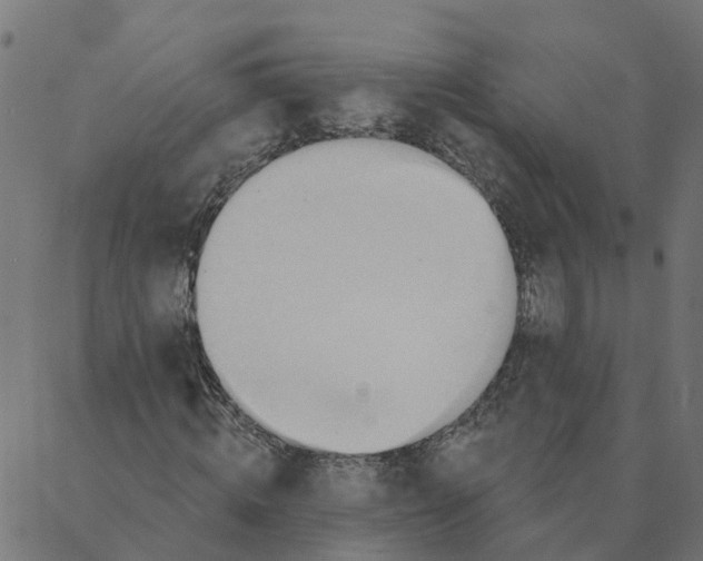 X0000087380820200705181240