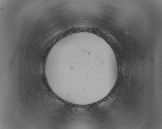 X0000087380821200705181240