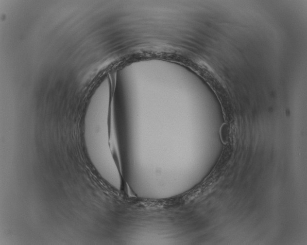 X0000087380822200705181240