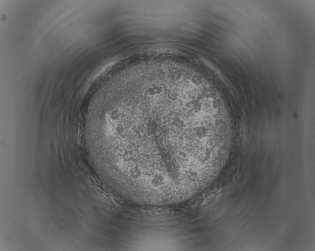 X0000087380823200705181240