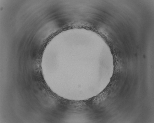 X0000087380824200705181240