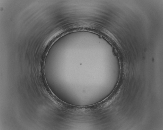 X0000087380826200705181240