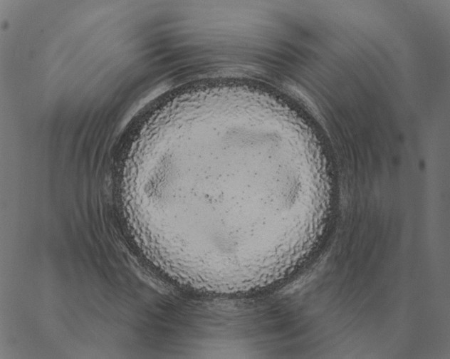 X0000087380827200705181240