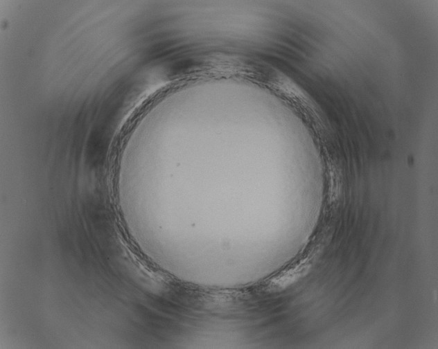 X0000087380828200705181240