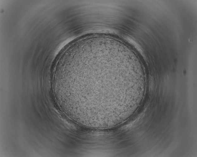 X0000087380829200705181240