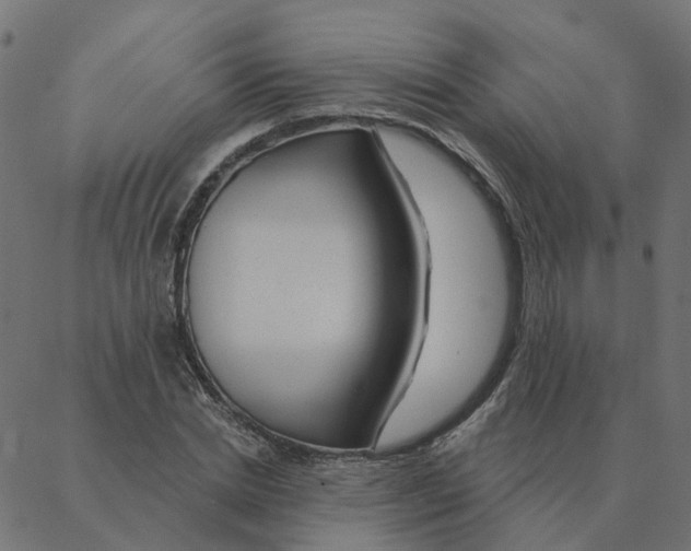 X0000087380830200705181240