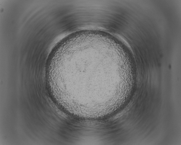 X0000087380831200705181240