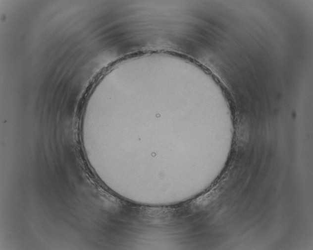 X0000087380832200705181240