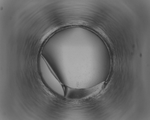 X0000087380834200705181240