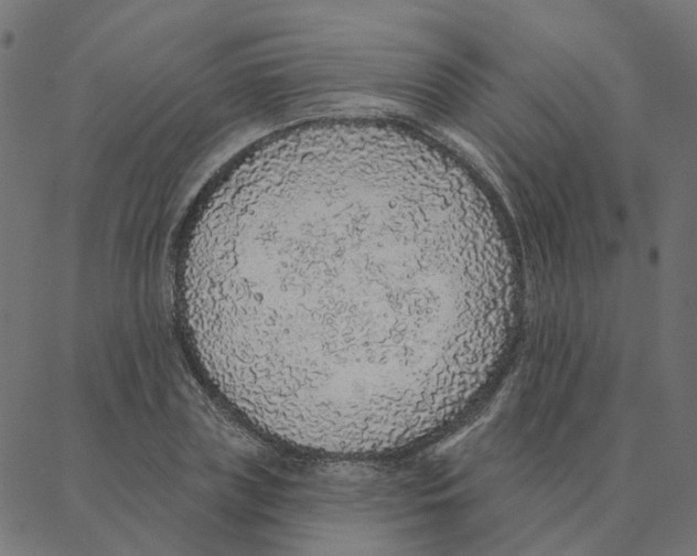 X0000087380835200705181240