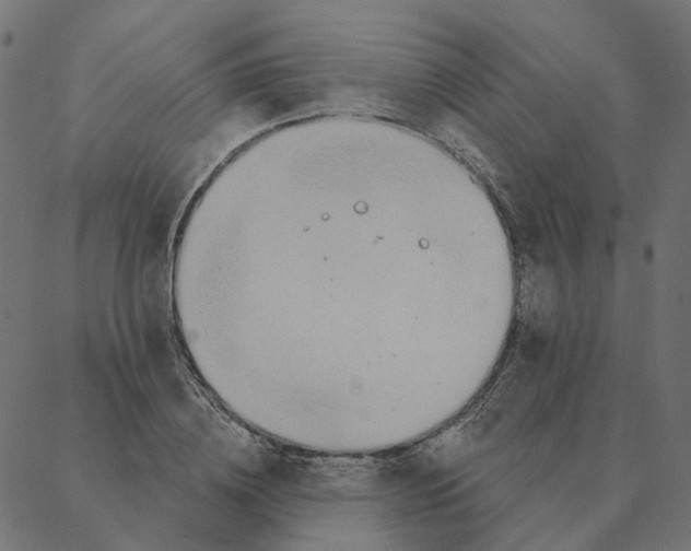 X0000087380836200705181240