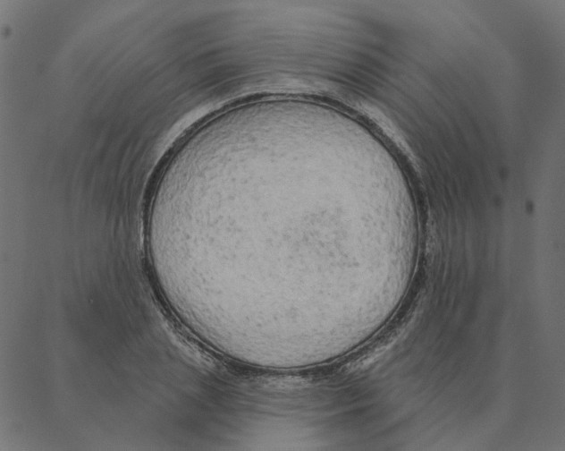 X0000087380837200705181240