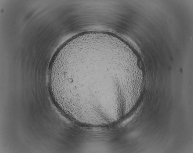 X0000087380839200705181240