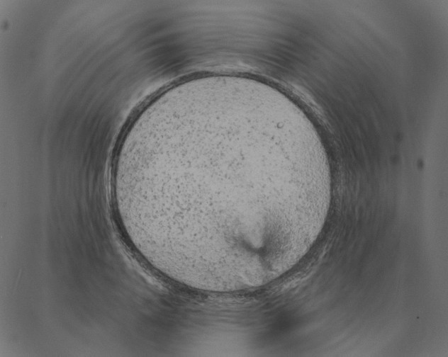 X0000087380840200705181240