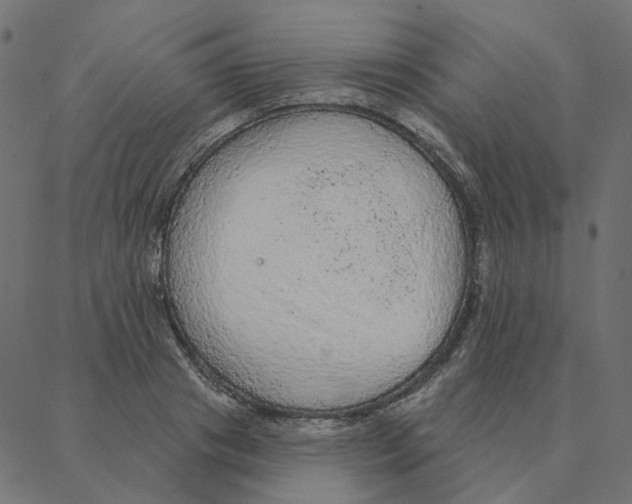 X0000087380841200705181240